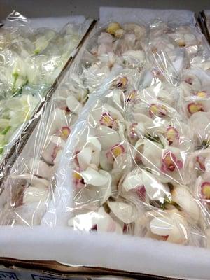 Kelley Wholesale Florist