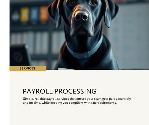 #BusinessGrowth #OutsourcedBookkeeping #HoustonSmallBusiness #bookkeeping services #bookkeeping