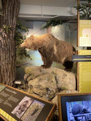 Albright Visitor Center and Museum