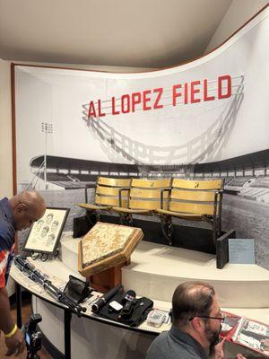 Tampa Baseball Museum