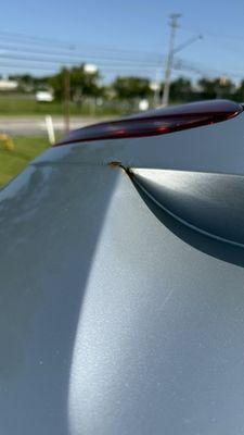 Lane & Kenny Body Shop