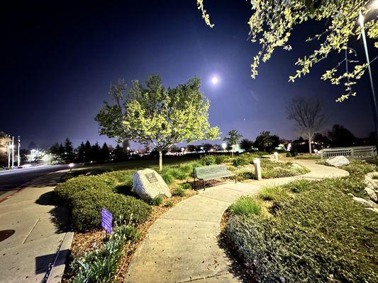 Benches and walk path