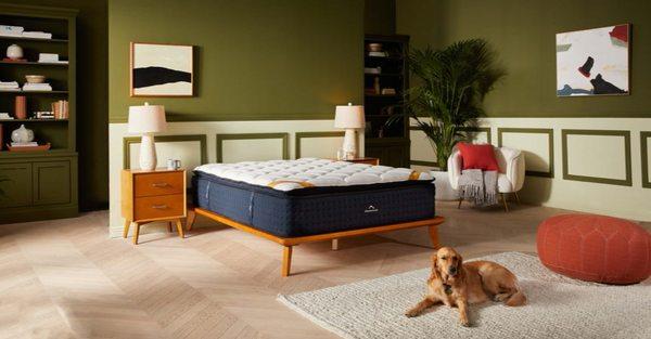 Carson City Mattress Outlet