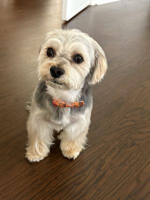 My little guy looks so handsome!!