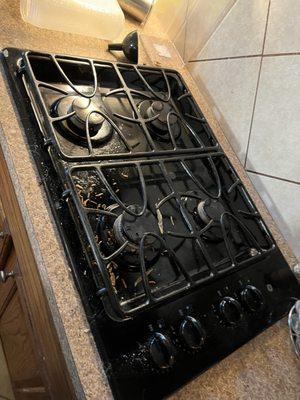 Jessica Riggs Cleaning