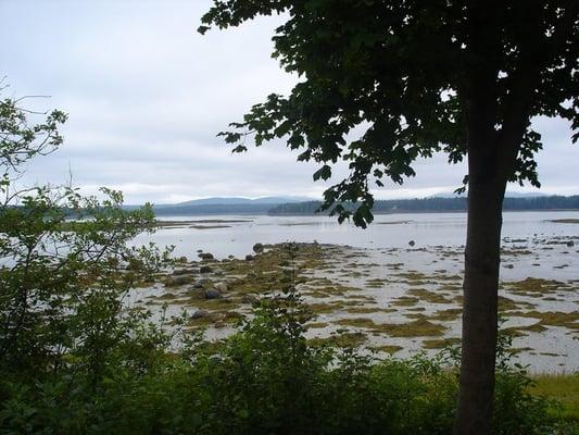 Our view from our site..