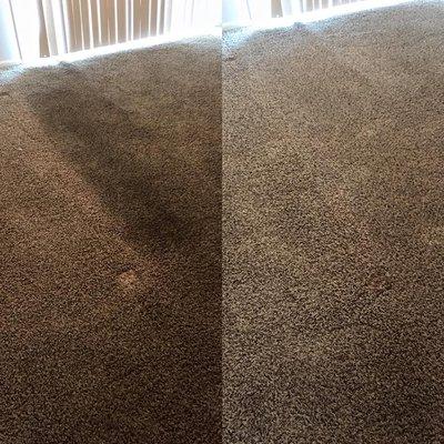 316 Carpet Cleaning