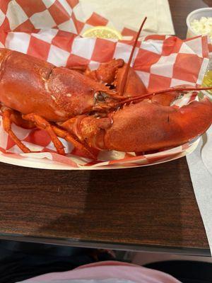 Carrier's Mainely Lobster