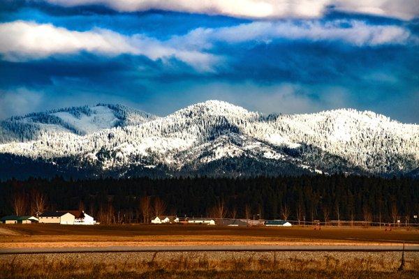 Sue Davis Photography