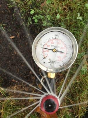 Western Roots Landscape