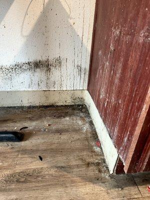 WoodSpring Suites Waco Near University