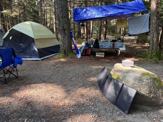 Blackwoods Campground