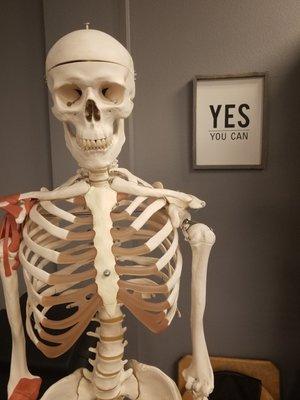 Suarez Physical Therapy