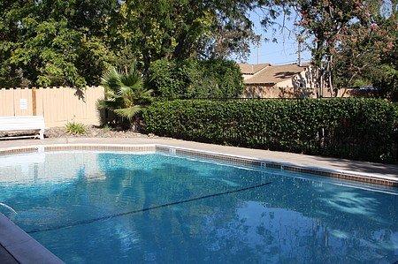 Sparkling Refreshing Pool