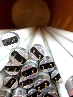 Fluorescent Bulbs for Recycling