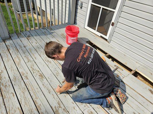 Conleys Wildlife Removal