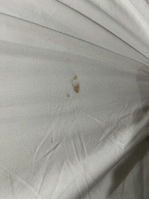 Mystery stains in bed sheets