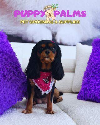 I feel special and receive better treatment