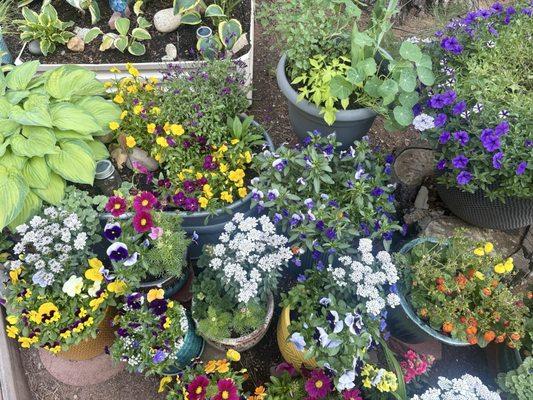 Tahoe Outdoor Living