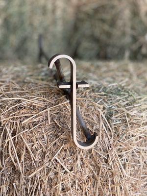 Willow Wells Equine Ranch