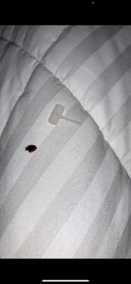 Holiday Inn Express & Suites Ridgeland - Jackson North Area