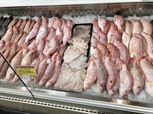 Specially fresh fish/seafood