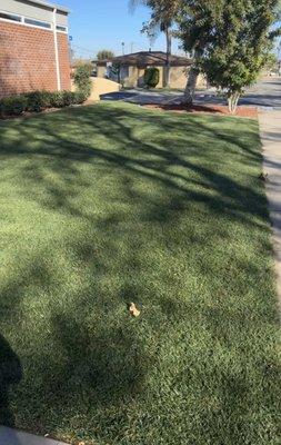 Unique Landscape Services