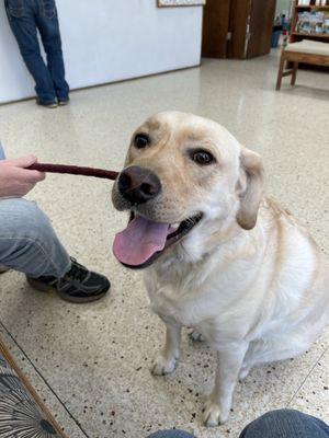 Fort Russell Veterinary Service