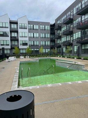 Green pool the management does not clean