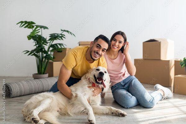 Platinum Inspection Service