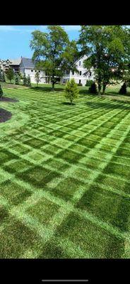 W&W Construction and Landscaping