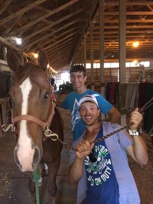 Jeff Geiger Performance Horses