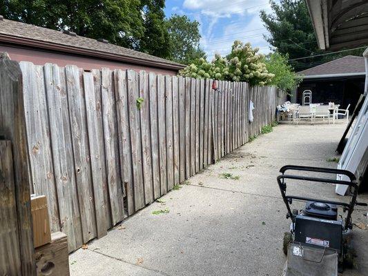 Stan’s Cuts & More