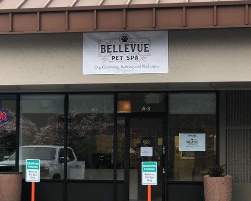 Bellevue Pet Spa