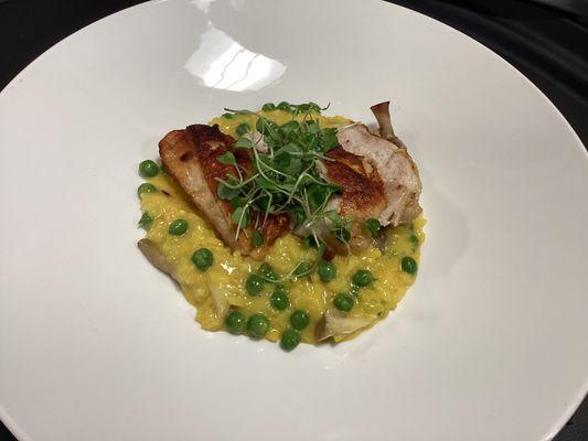 Sous Vide Chicken Breast
Saffron Risotto and Peas