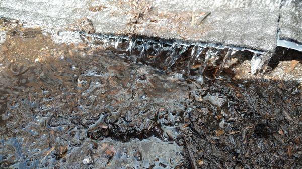 US Landscape design And Restorations