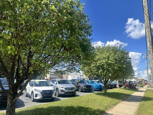 Tower Auto Sales