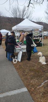 Piermont's Down to Earth Farmers Market
