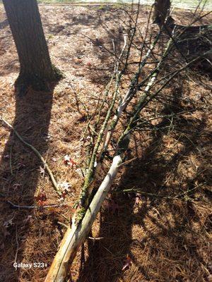 Blough's Gutter Guards