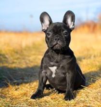 Exeter Veterinary Hospital