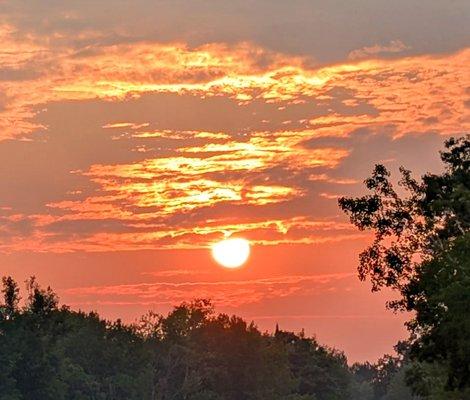 On the way to the Shop.