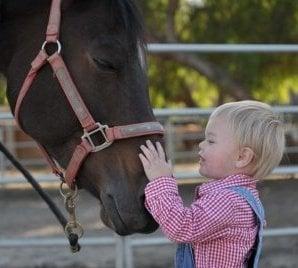 The Pelton Equestrian Experience