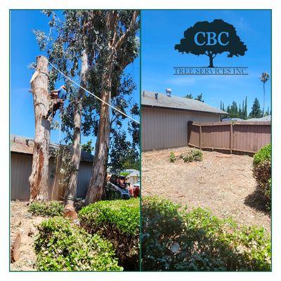 CBC Tree Services Inc
