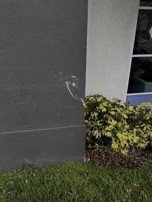 When they crashed my car