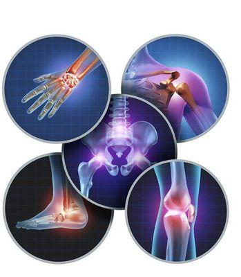 Coastal Wellness and Physical Therapy