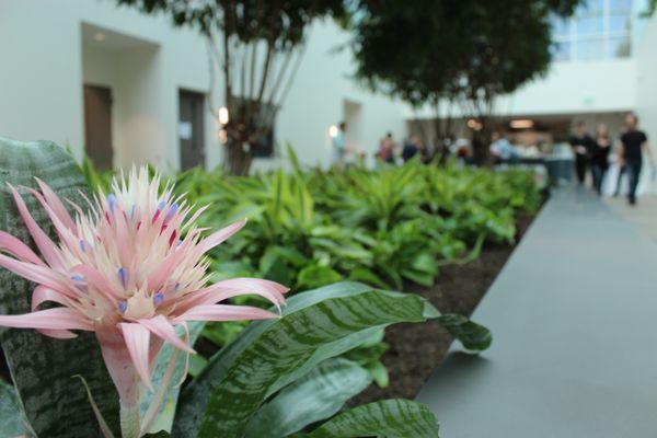 Care Plant Inc.