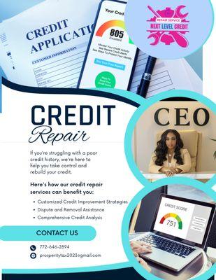 Next Level Credit Consultant
