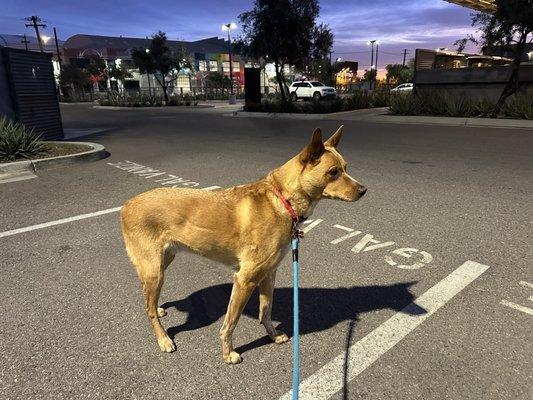 Galvanize - Warehouse District