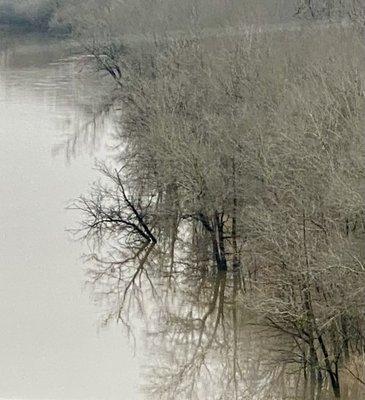 Felsenthal National Wildlife Refuge