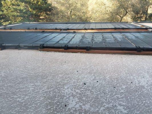 Cheap PT 2x4s and liquid nail glue, separating from roof.